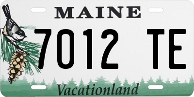 ME license plate 7012TE