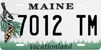 ME license plate 7012TM
