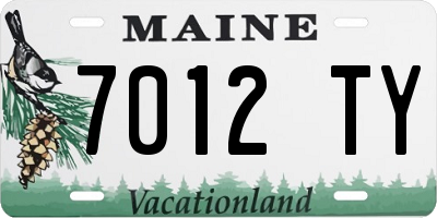 ME license plate 7012TY