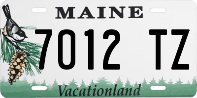 ME license plate 7012TZ