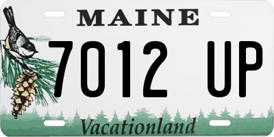 ME license plate 7012UP