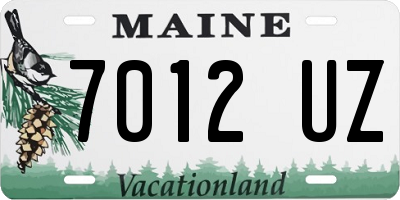 ME license plate 7012UZ