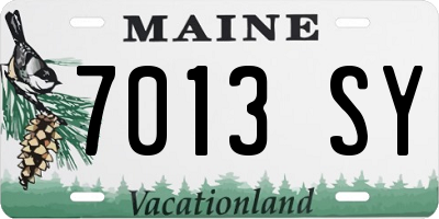 ME license plate 7013SY