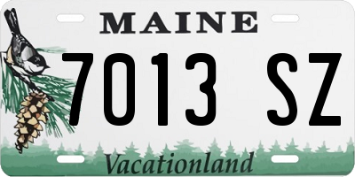ME license plate 7013SZ