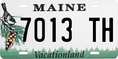 ME license plate 7013TH
