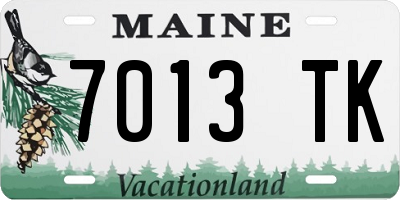 ME license plate 7013TK
