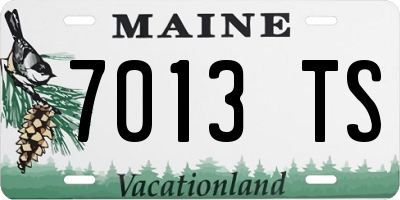 ME license plate 7013TS