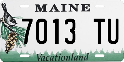 ME license plate 7013TU