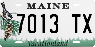 ME license plate 7013TX