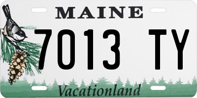 ME license plate 7013TY