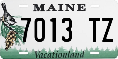 ME license plate 7013TZ