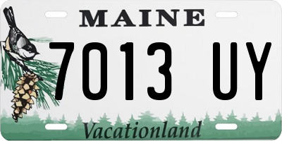 ME license plate 7013UY