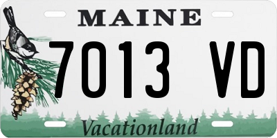 ME license plate 7013VD