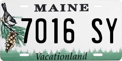 ME license plate 7016SY