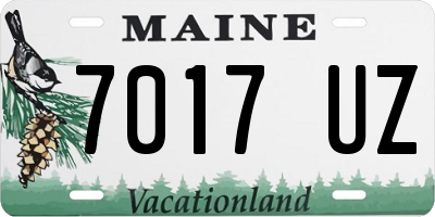 ME license plate 7017UZ