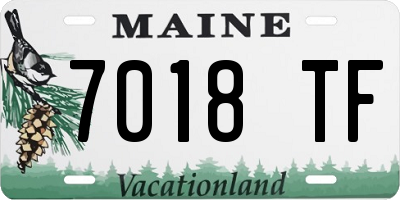 ME license plate 7018TF