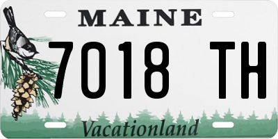 ME license plate 7018TH