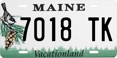 ME license plate 7018TK