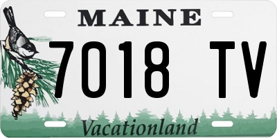 ME license plate 7018TV