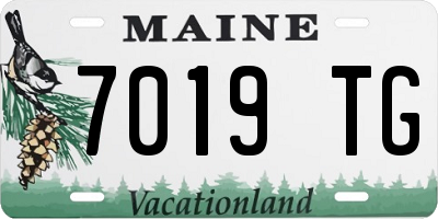 ME license plate 7019TG