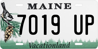 ME license plate 7019UP