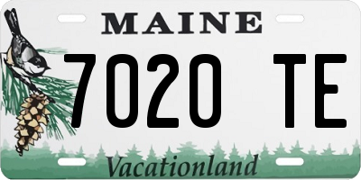 ME license plate 7020TE