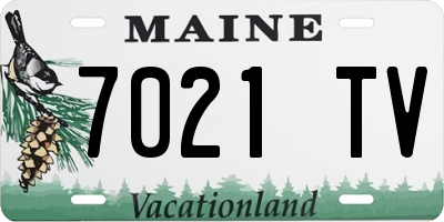 ME license plate 7021TV