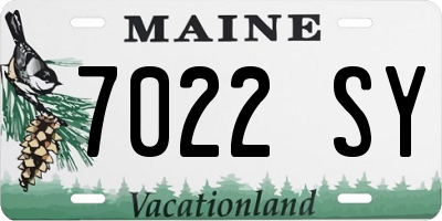 ME license plate 7022SY