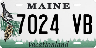ME license plate 7024VB