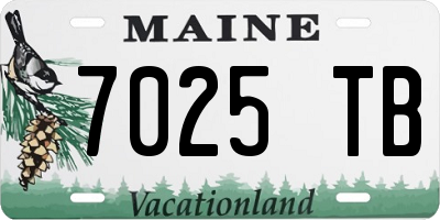 ME license plate 7025TB