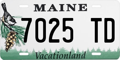 ME license plate 7025TD