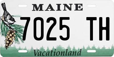 ME license plate 7025TH
