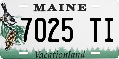 ME license plate 7025TI