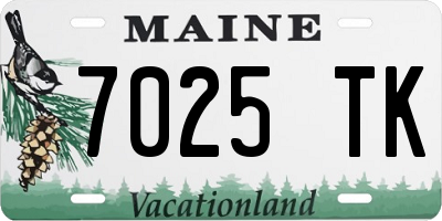ME license plate 7025TK