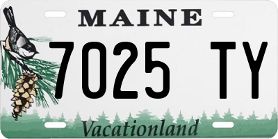 ME license plate 7025TY