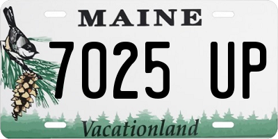 ME license plate 7025UP