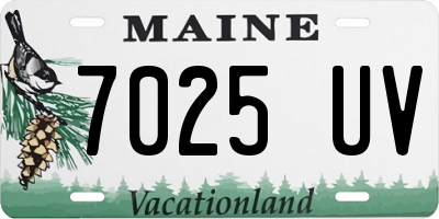 ME license plate 7025UV