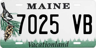 ME license plate 7025VB