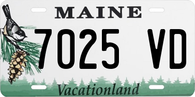 ME license plate 7025VD