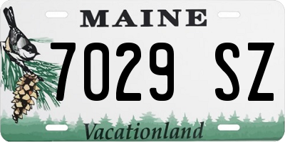 ME license plate 7029SZ