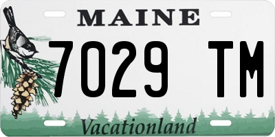 ME license plate 7029TM