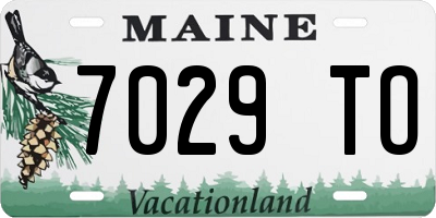 ME license plate 7029TO