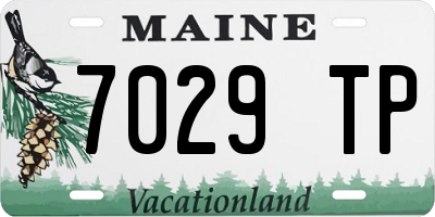 ME license plate 7029TP