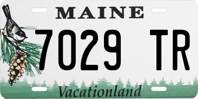ME license plate 7029TR