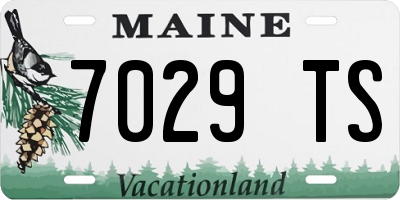 ME license plate 7029TS
