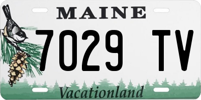 ME license plate 7029TV