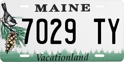 ME license plate 7029TY