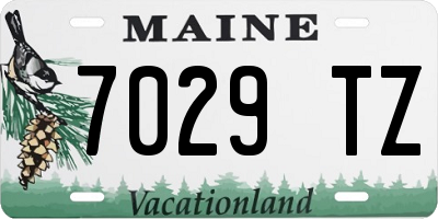 ME license plate 7029TZ