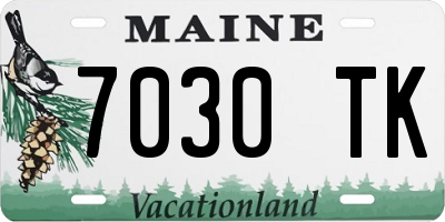 ME license plate 7030TK