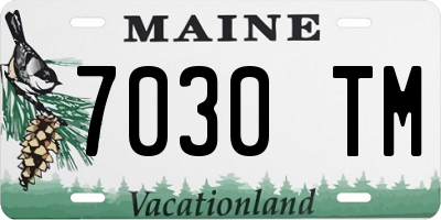 ME license plate 7030TM